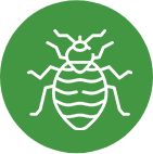 pest exterminator near me