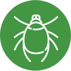 termite treatment home depot