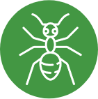 insect control near me