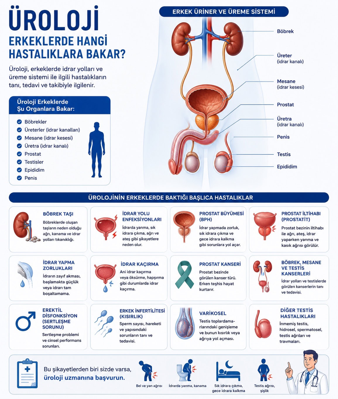 Üroloji Erkeklerde Hangi Hastalıklara Bakar? — Prof. Dr. Abdulmuttalip Şimşek