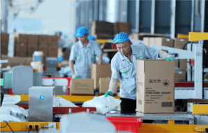 Environmentally friendly cat litter production facility, QingkePet manufacturing plant in operation worldwide cat litter production factory, eco-friendly materials, quality control, sustainable pet products.