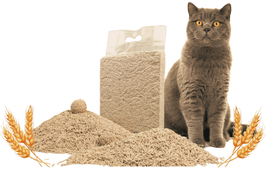 Organic natural cat litter with wheat, eco-friendly, high absorbency, odor control, and biodegradable.
