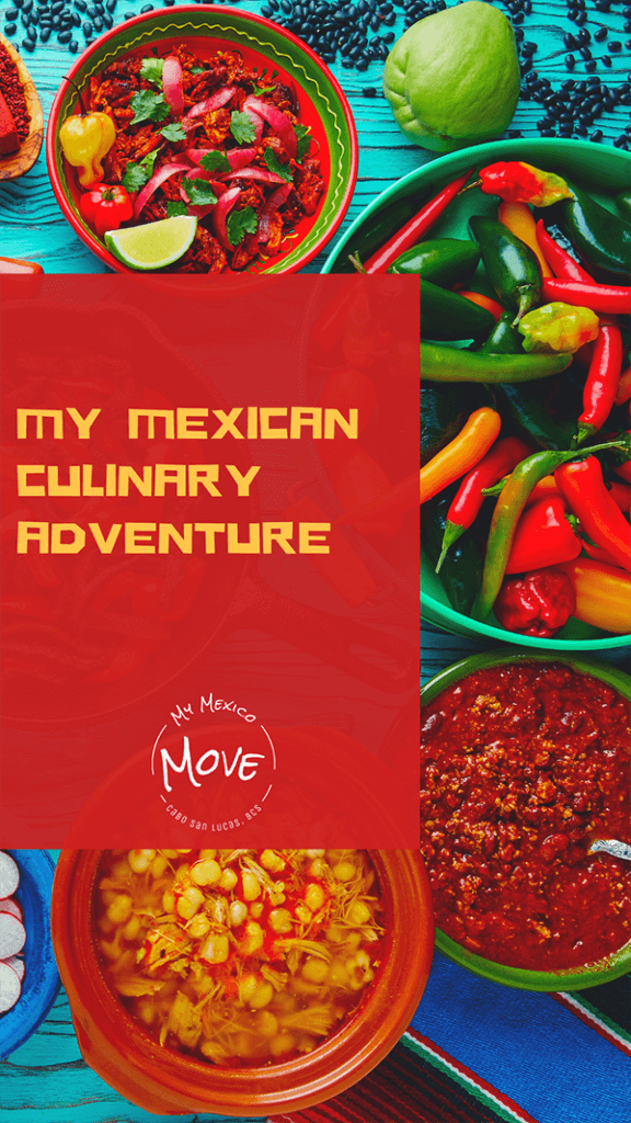 My Mexican Culinary Adventure 576x1024 1