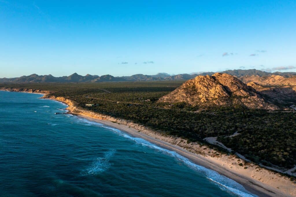 best-daytrips-from-cabo-2026
