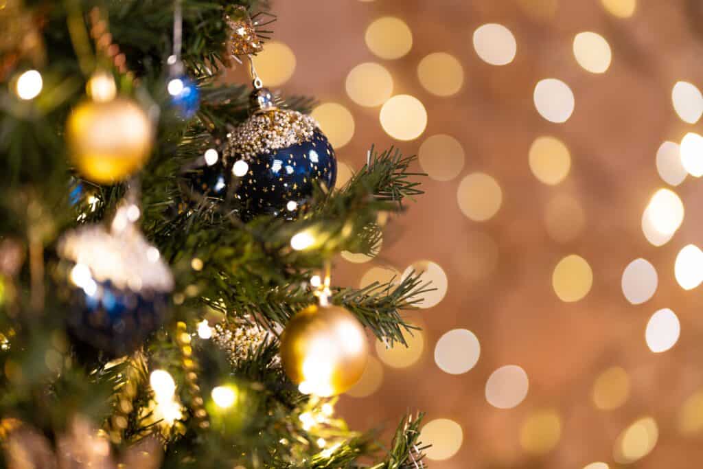 Christmas in Los Cabos
