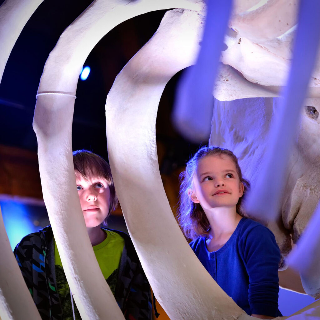 Ecomare tentoonstelling voor kinderen