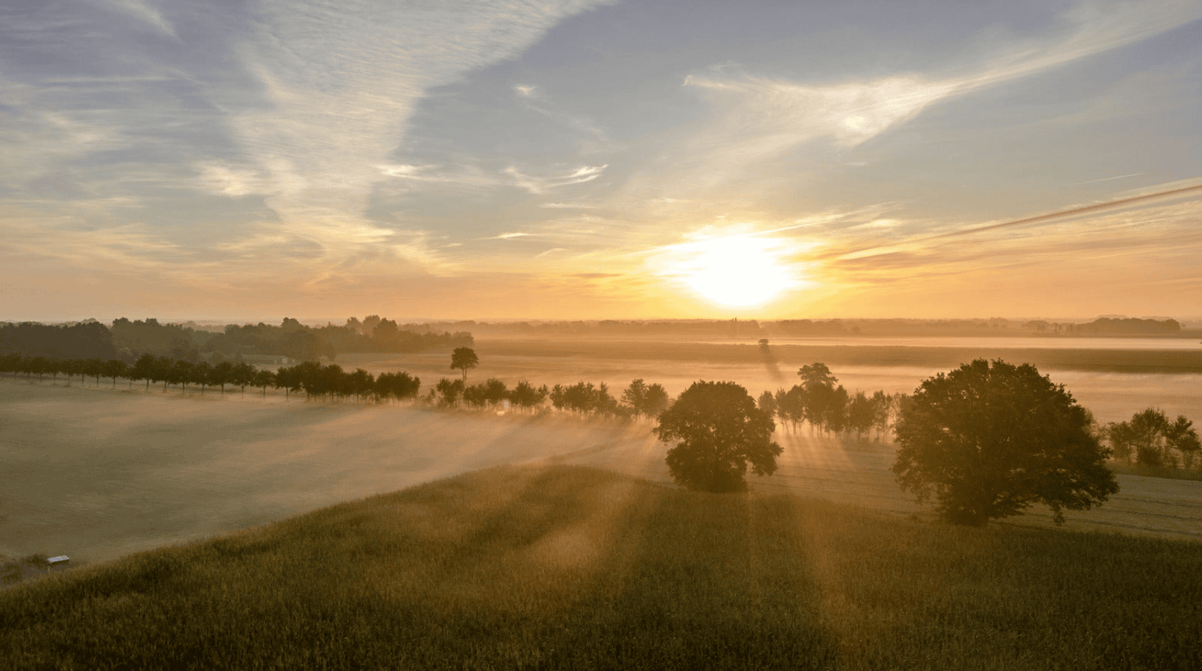 Screenshot 2026 03 26 at 12.44.58