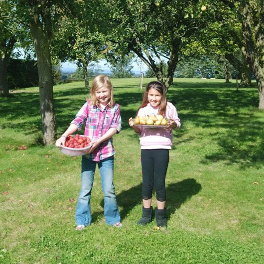 Two girls holding baskets of freshly picked apples in a sunny orchard.