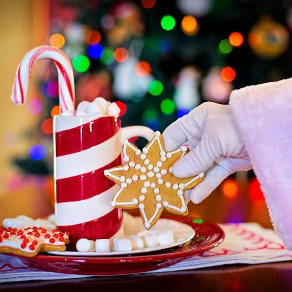 Hand holding a decorated Christmas cookie near a festive mug with candy cane, holiday background.