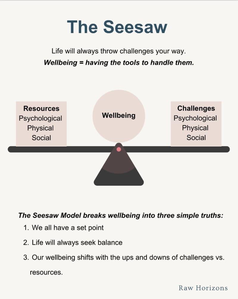 Visual of a seesaw illustrating balance between resources and challenges for wellbeing.