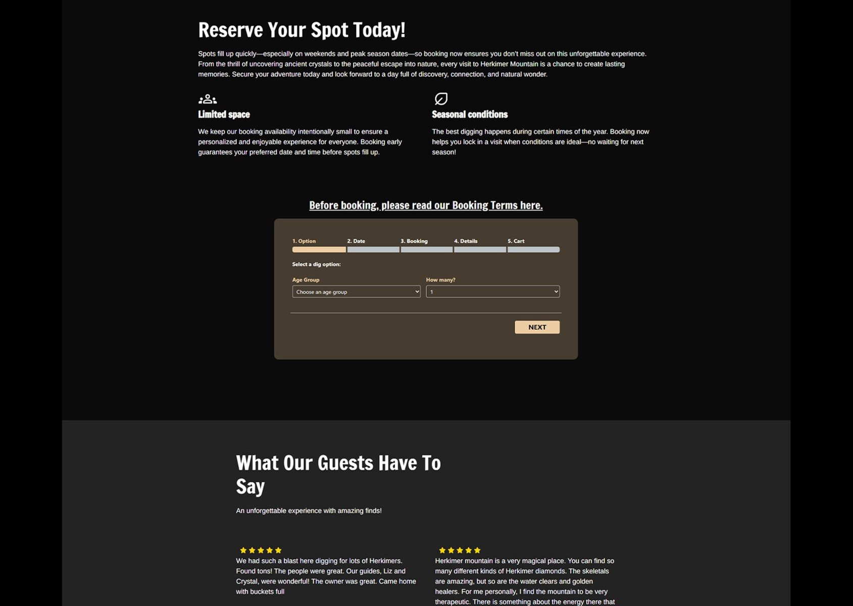Reservation booking form on a dark website with booking options and terms.