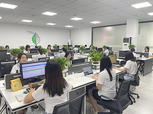 RIXI staff working at computer workstations in the company office