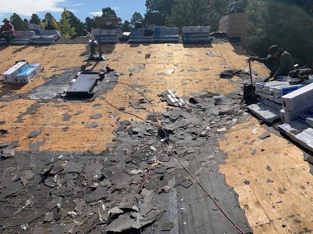 Close-up of hail damage on asphalt shingles in Centennial, Colorado