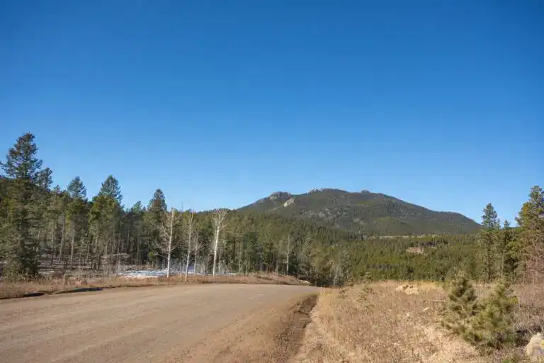 Forested mountain landscape in Indian Hills Colorado with winding foothills roads and pine-covered hillsides