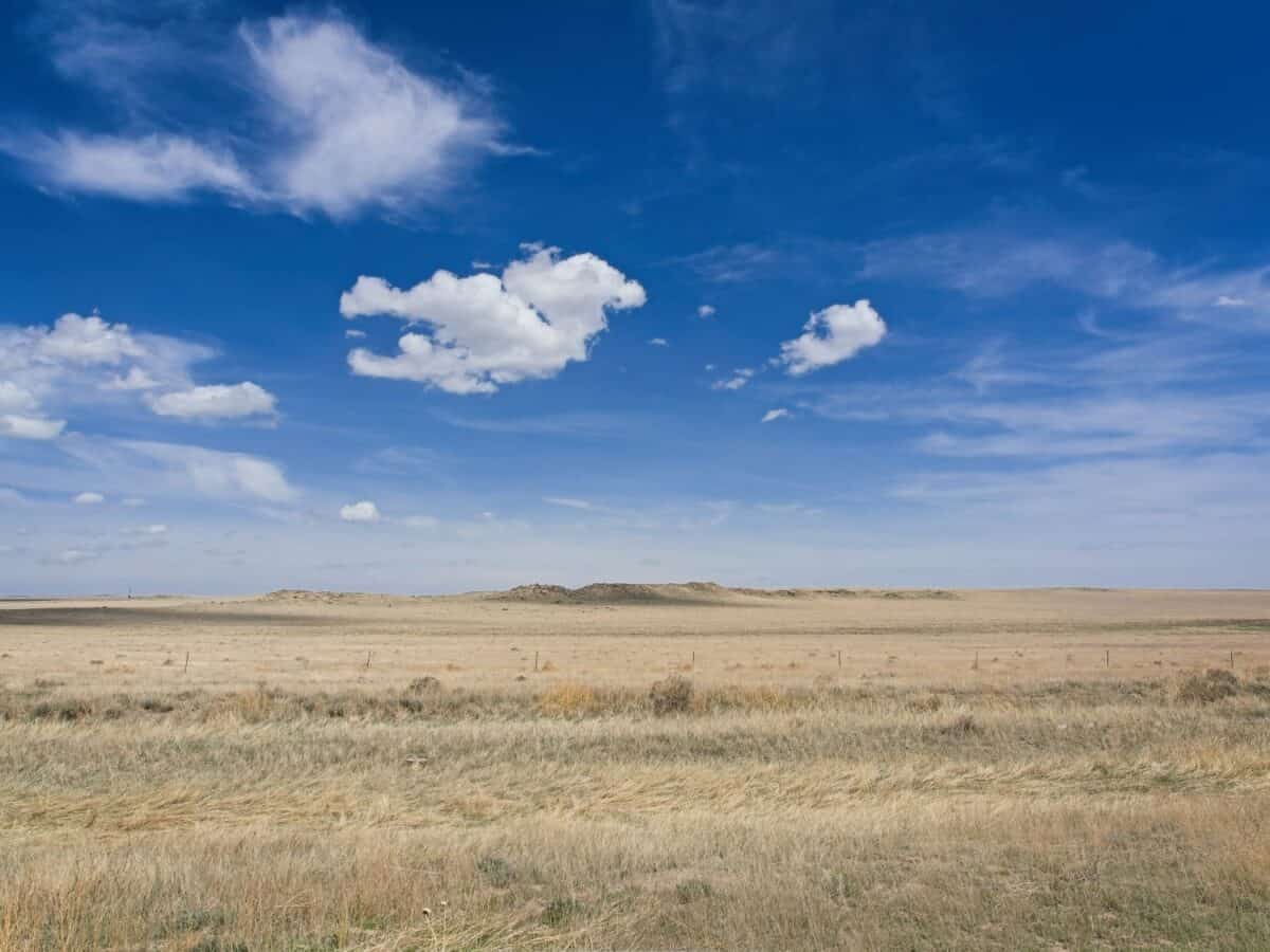 Open Colorado Eastern Plains grassland beneath a bright blue sky and scattered clouds