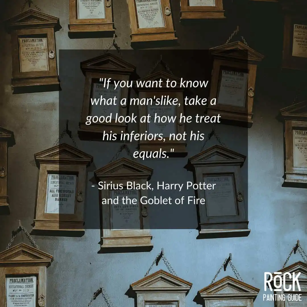 60 Inspiring Harry Potter Quotes that Potterheads Live By 6 wall of rules from harry potter movie