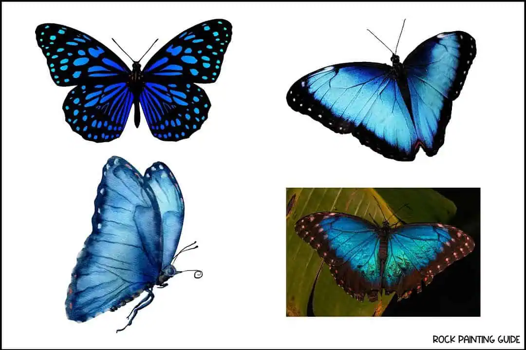 40 Enchanting Butterfly Drawing Ideas for Every Artist 13 blue morpho butterfly