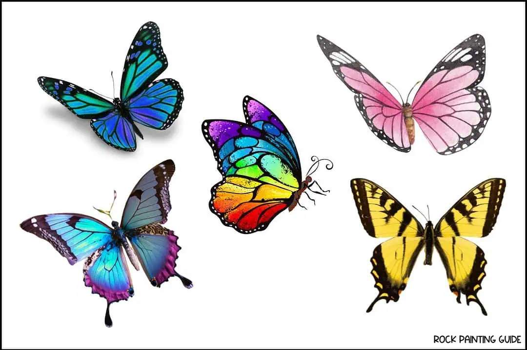 40 Enchanting Butterfly Drawing Ideas for Every Artist 6 colorful butterflies
