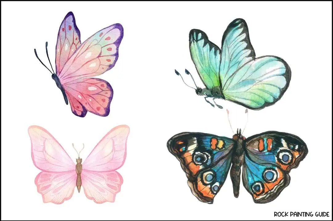 40 Enchanting Butterfly Drawing Ideas for Every Artist 7 watercolor butterfly drawing ideas