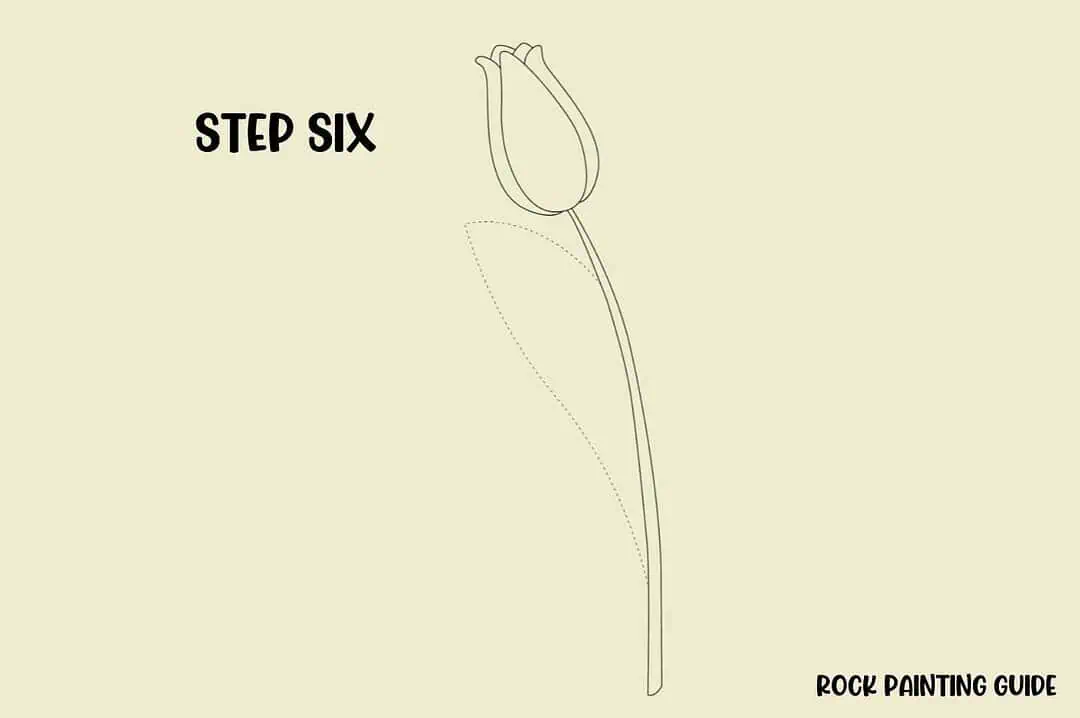 How to Draw a Tulip (Easy Step-by-Step Drawing) 9 sixth step on how to draw a tulip