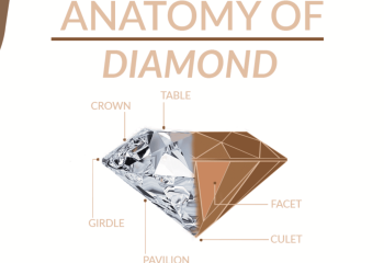 Understanding Diamond Anatomy A Detailed Guide