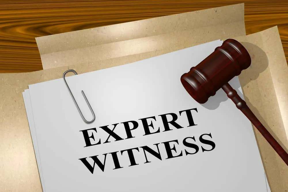 Expert Witness report