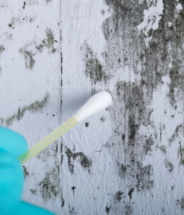 A gloved hand collecting a surface sample with a swab