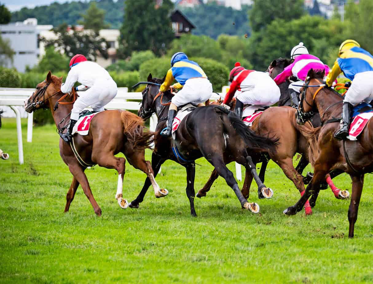Horse racing at Market Rasen Racecourse in Lincolnshire