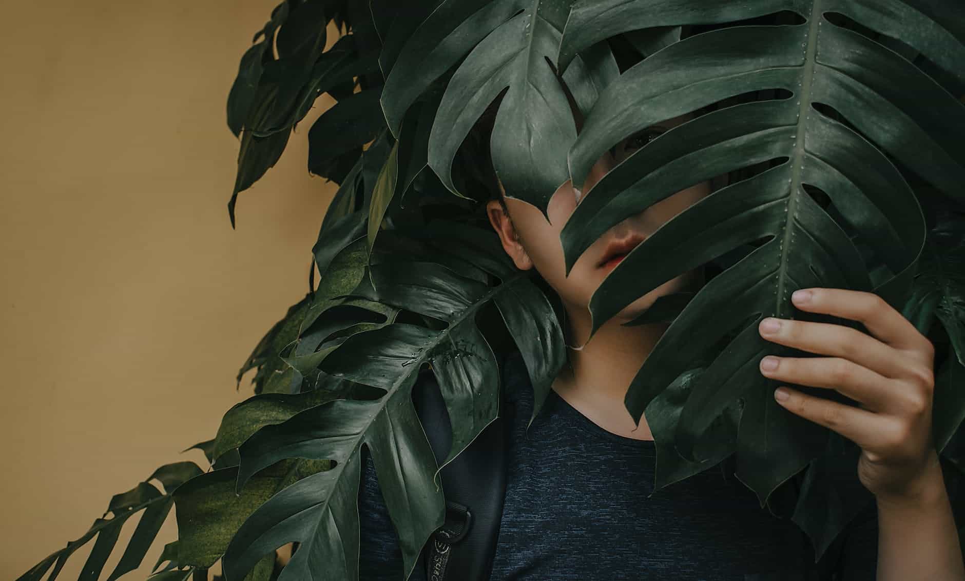 photo of a boy near leaves, Anonymous viewers