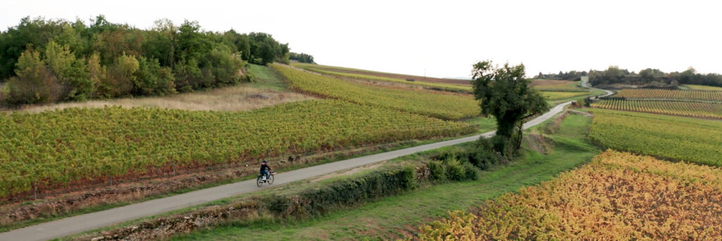 un velo sur route bucolique vu d'un drone