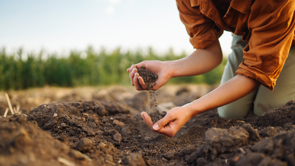 Nutrient Rich Soil for home garden