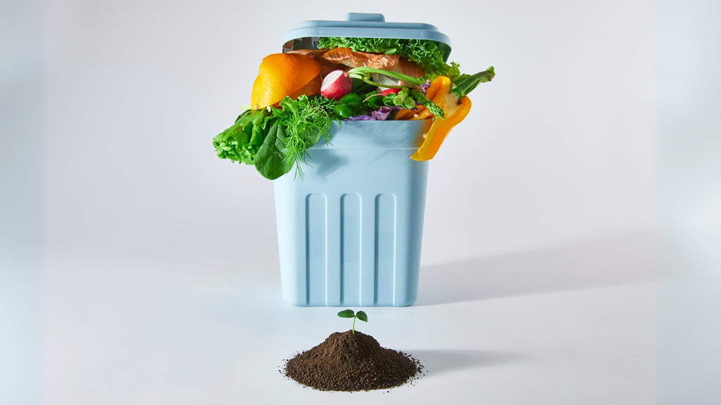 Don't waste food