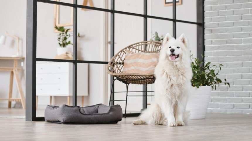 How long Can Dogs Hold Their Pee
