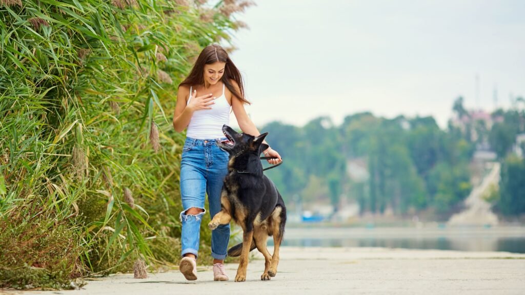 Go at Your Dog’s Pace when dog training