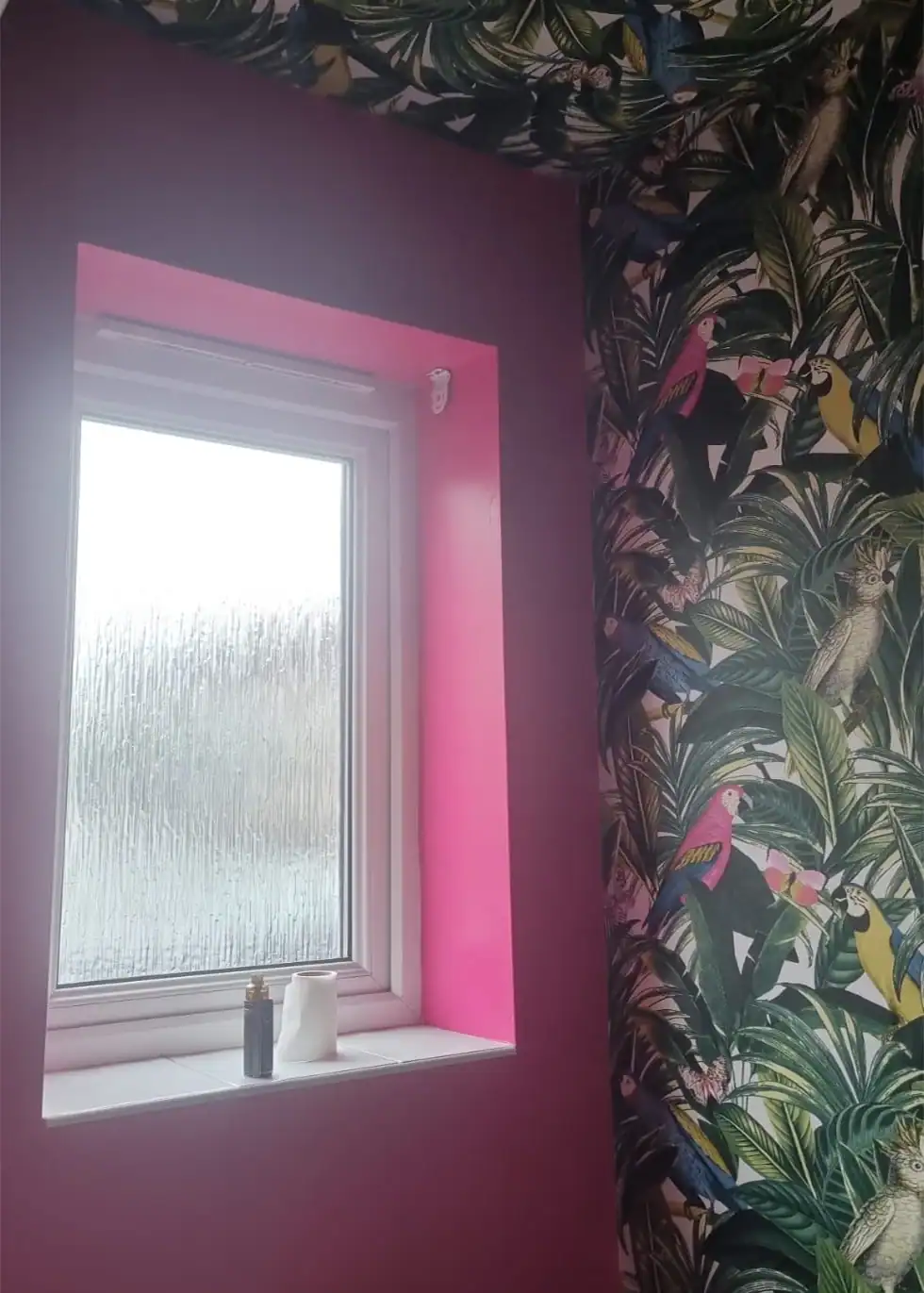 Bright pink painted window wall with tropical bird wallpaper for stylish interior decor.