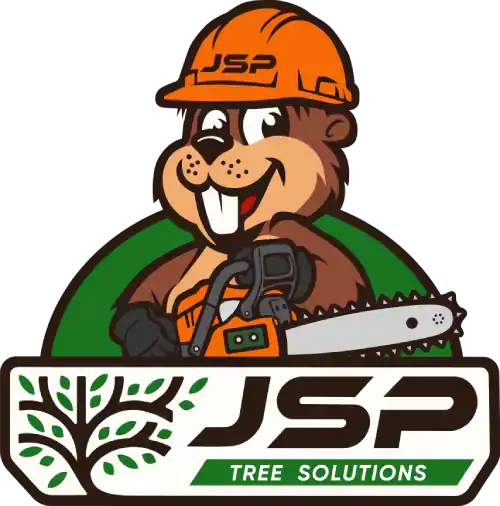 Main-LOGO-1