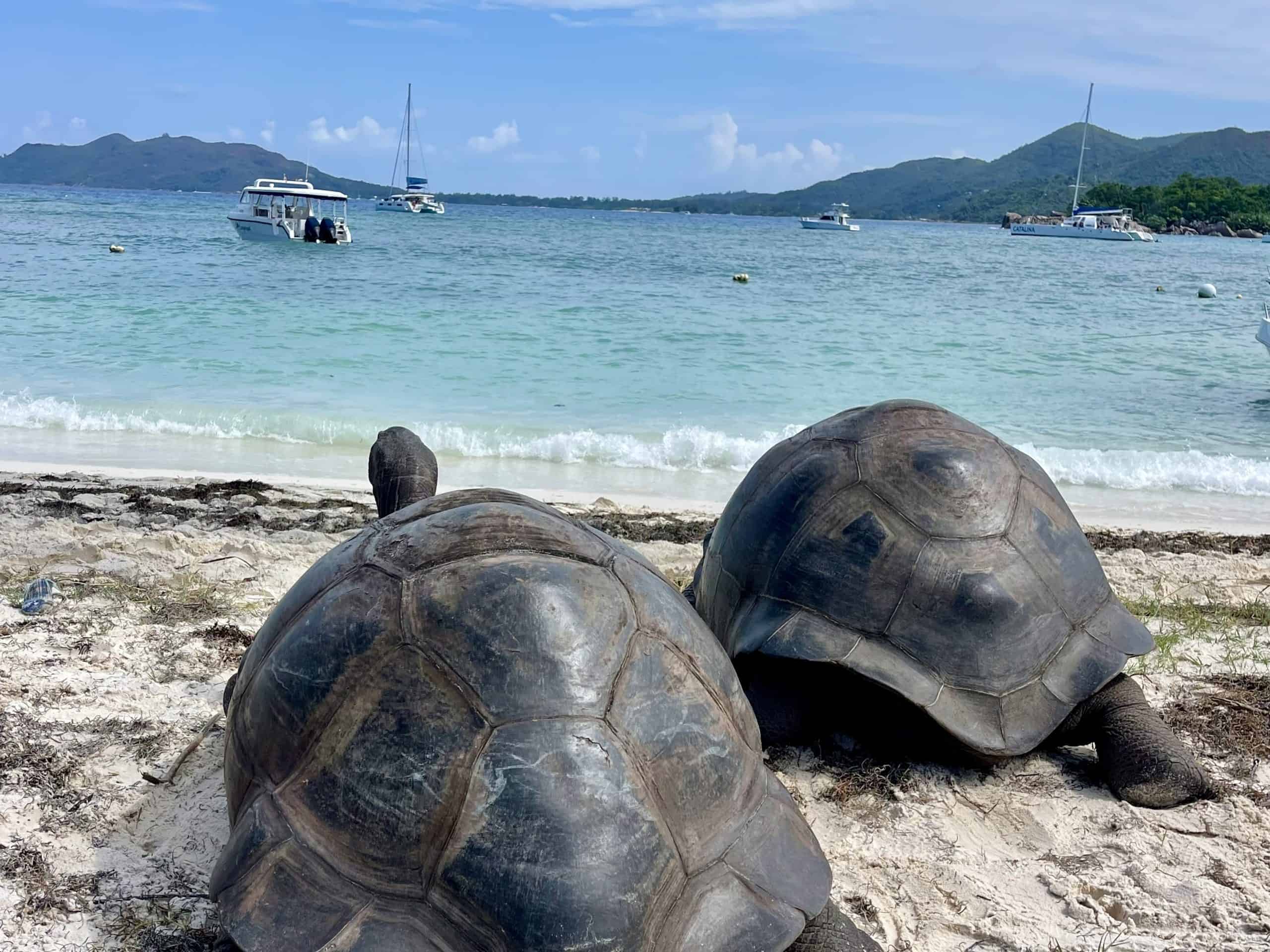 Curieuse Island, Seychelles