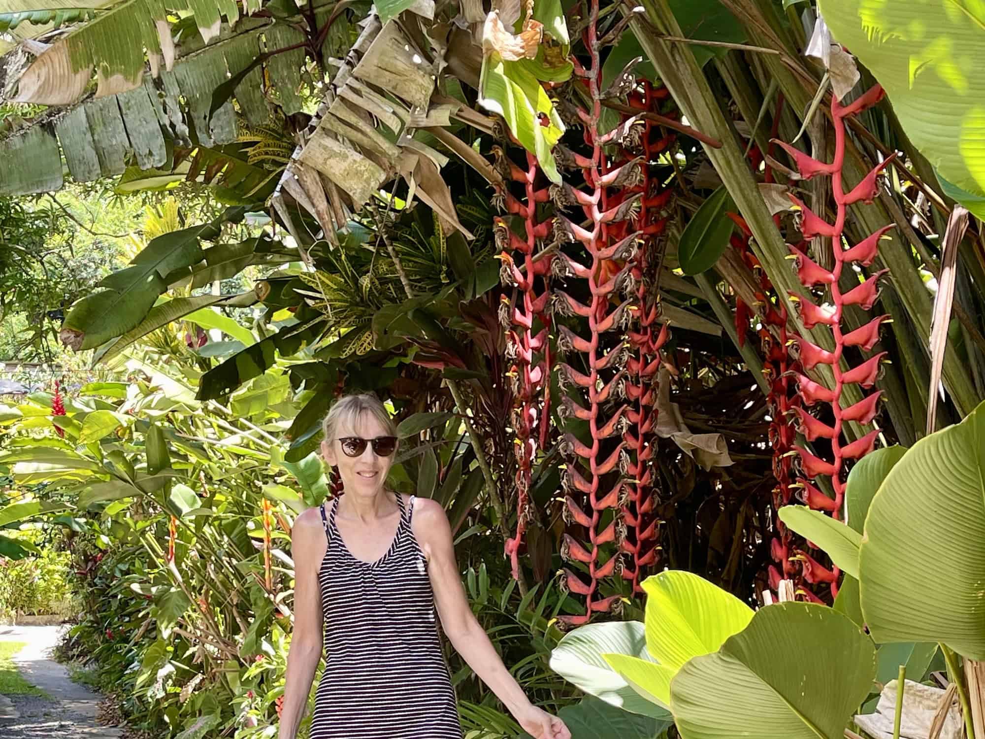 Jardin du Roi Mahé Seychelles spice garden tropical paths and sea views