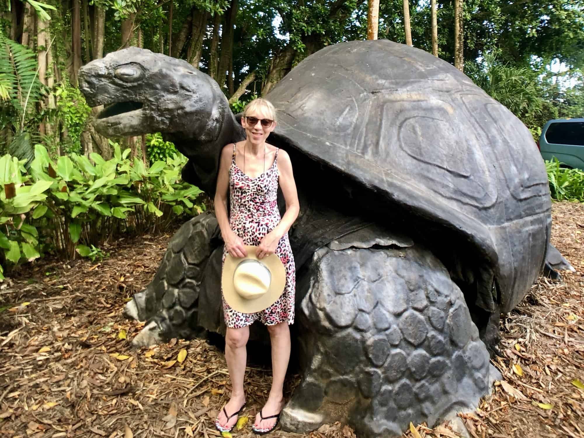 Shaded tropical vegetation at Seychelles National Botanical Gardens near Victoria