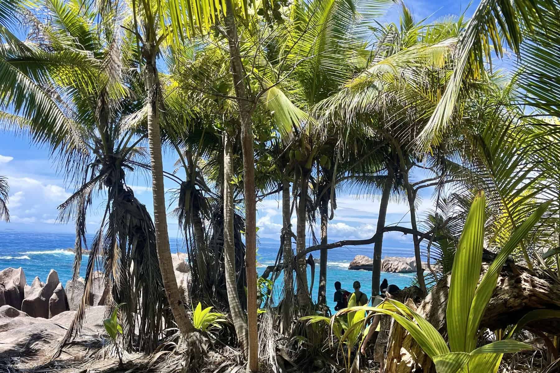 Anse Marron La Digue 4 Anse Marron La Digue wild granite coastline