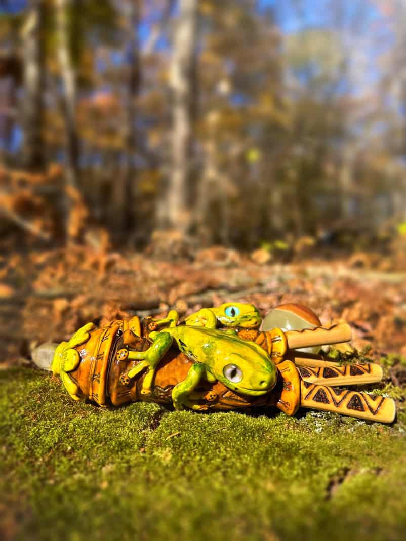 Frog-moss kuripe
