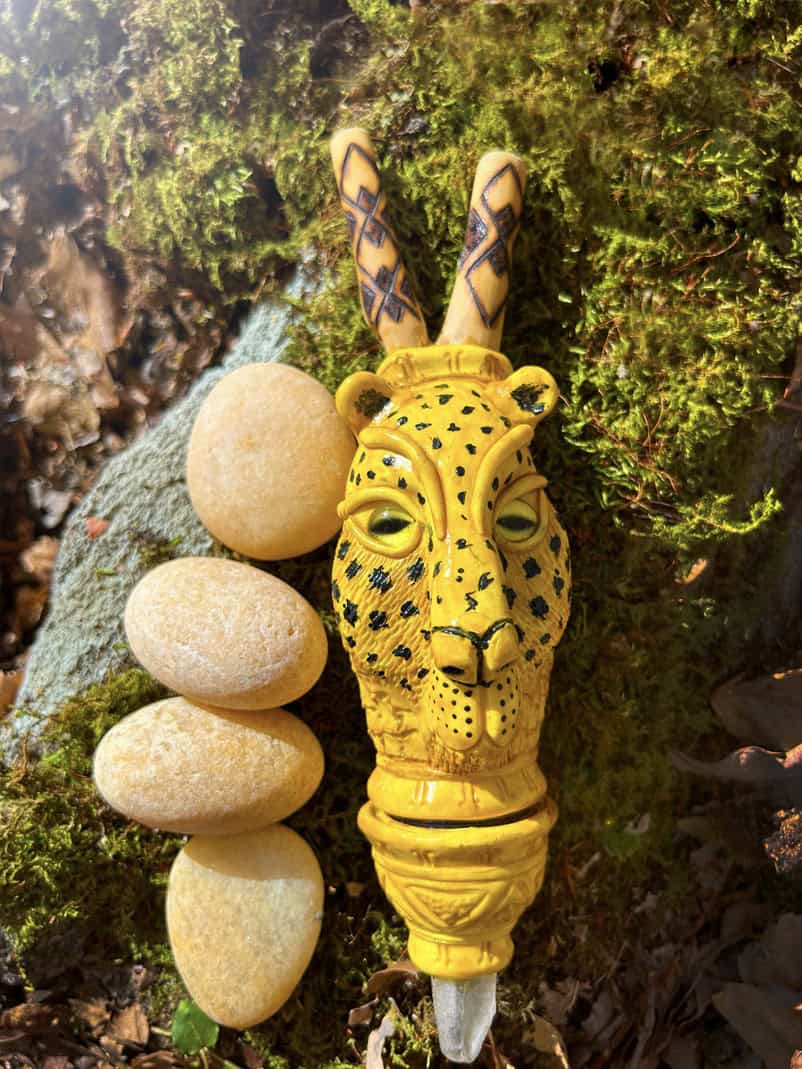Tiger-moss kuripe