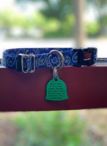 A blue paisley-patterned dog collar with a metal buckle and a green bone-shaped tag displaying contact information, draped over a red wooden surface with a blurred green background, designed for quick release in case of an emergency visit to the vet.