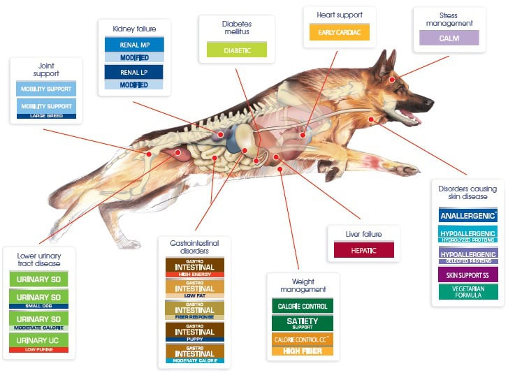 canine nutrition defined by veterinarian