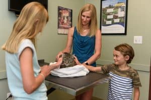 A vet shows a tortoise to a young girl and boy in a clinic, with educational posters on the wall in the background.