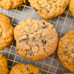 Best Oatmeal Chocolate Chip Cookies