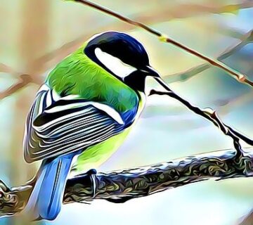 Vibrant green and blue bird artwork with smooth painterly texture
