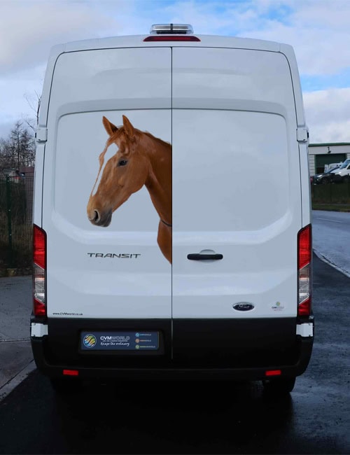 Horse head wall decal realistic animal sticker equestrian room decor