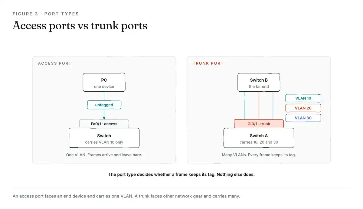 Two panels. On the left an access port connects a single PC to a switch and the frame travels untagged. On the right a trunk port connects two switches and carries VLANs 10, 20 and 30, each frame tagged.