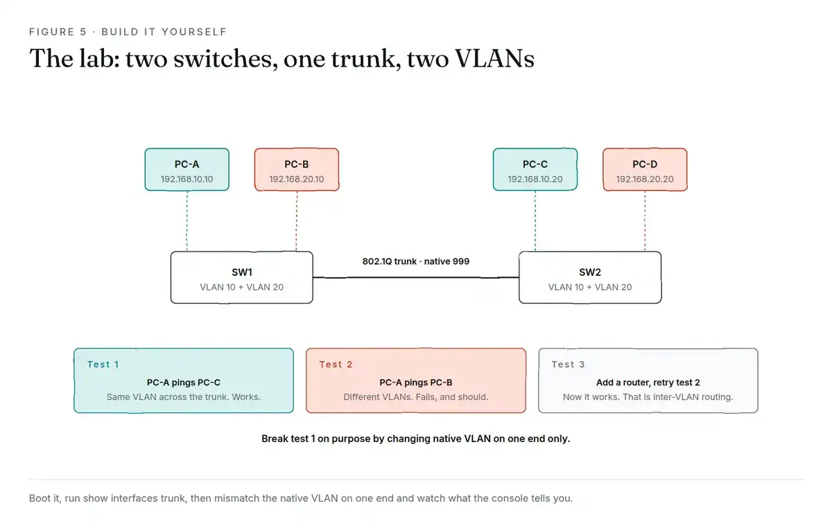 Two switches joined by an 802.1Q trunk. Each switch has a PC in VLAN 10 and a PC in VLAN 20. Three test cards below state the expected result: same-VLAN pings succeed, cross-VLAN pings fail, and adding a router makes the cross-VLAN ping succeed.